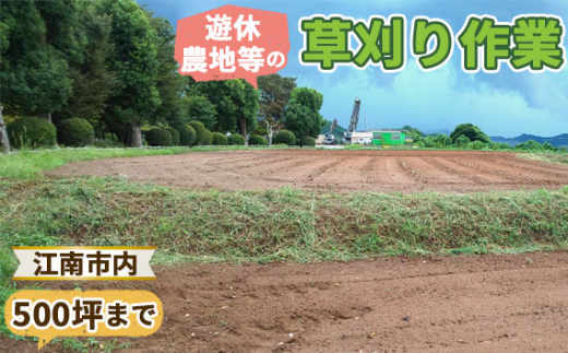 遊休農地等の草刈り作業（500坪、1650平方メートルまで） ／ 除草作業 草刈り作業 代行 耕作放棄地 遊休農地 草刈り 地域密着 清掃 お手伝い 草むしり  送料無料 愛知県 No.130