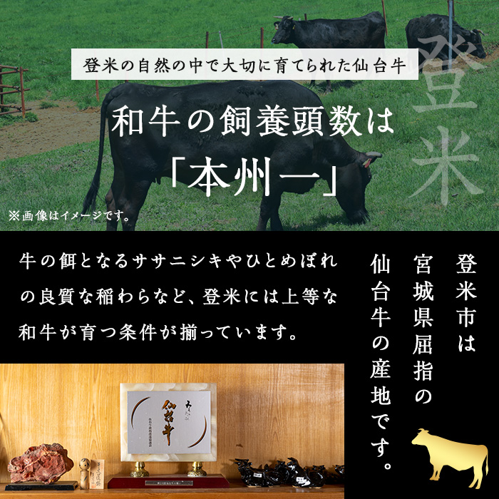 仙台黒毛和牛 特製ビーフカレー 200g×5個 かれー レトルト 電子レンジ お弁当 牛肉 お肉 宮城県産 【有限会社若寿司】tm020