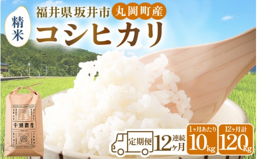 【令和8年産・新米】【12ヶ月連続お届け】福井県坂井市丸岡町産 コシヒカリ10kg×12回 計120kg（精米） [O-11304_03]