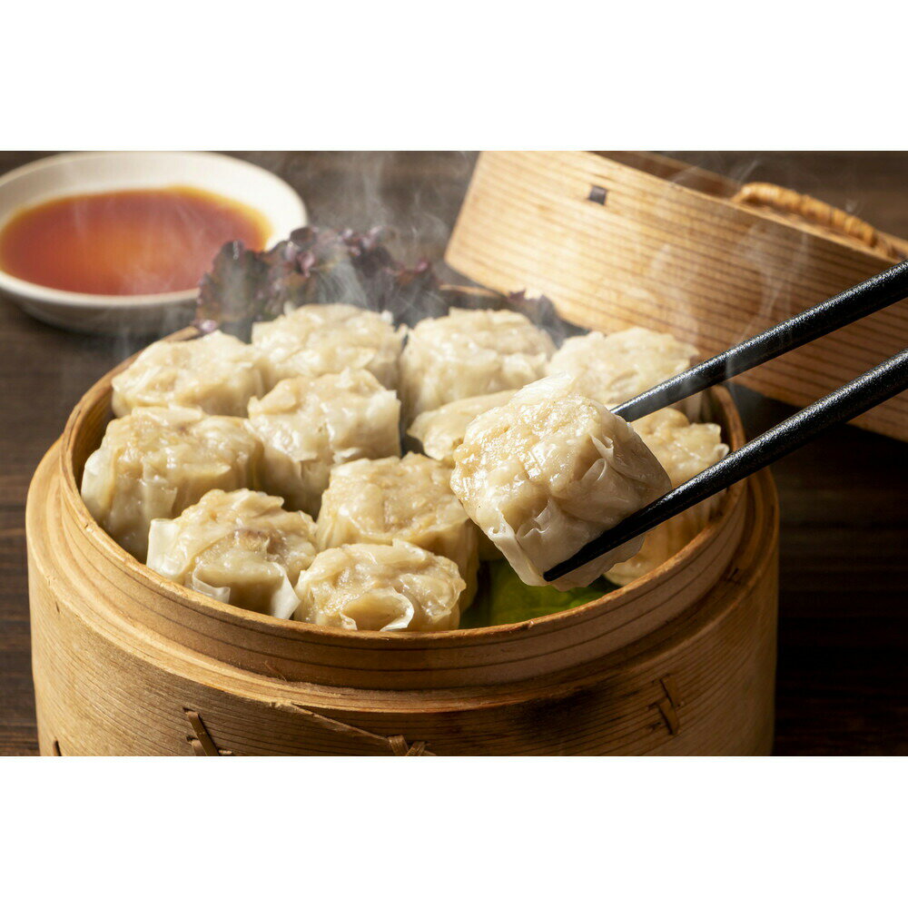 【ふるさと納税】博多製造 肉焼売 (20g×20個入×6パック)