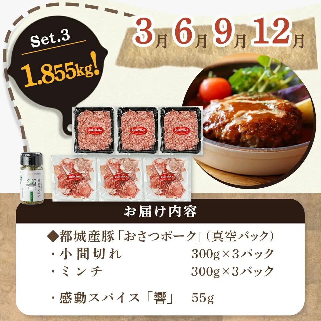 ≪3回連続お届け≫「おさつポーク」バラエティ定期便〔T33-3-1401〕_(都城市) 豚肉 都城産豚 おさつポーク 真空 冷凍 3回連続 定期便