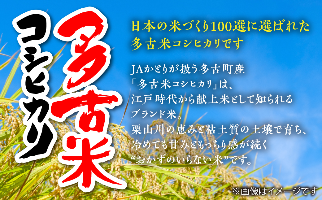 【令和7年産】多古米コシヒカリ　精米20kg(5kg×4袋)【配送不可地域：離島・沖縄県】 TAKN002