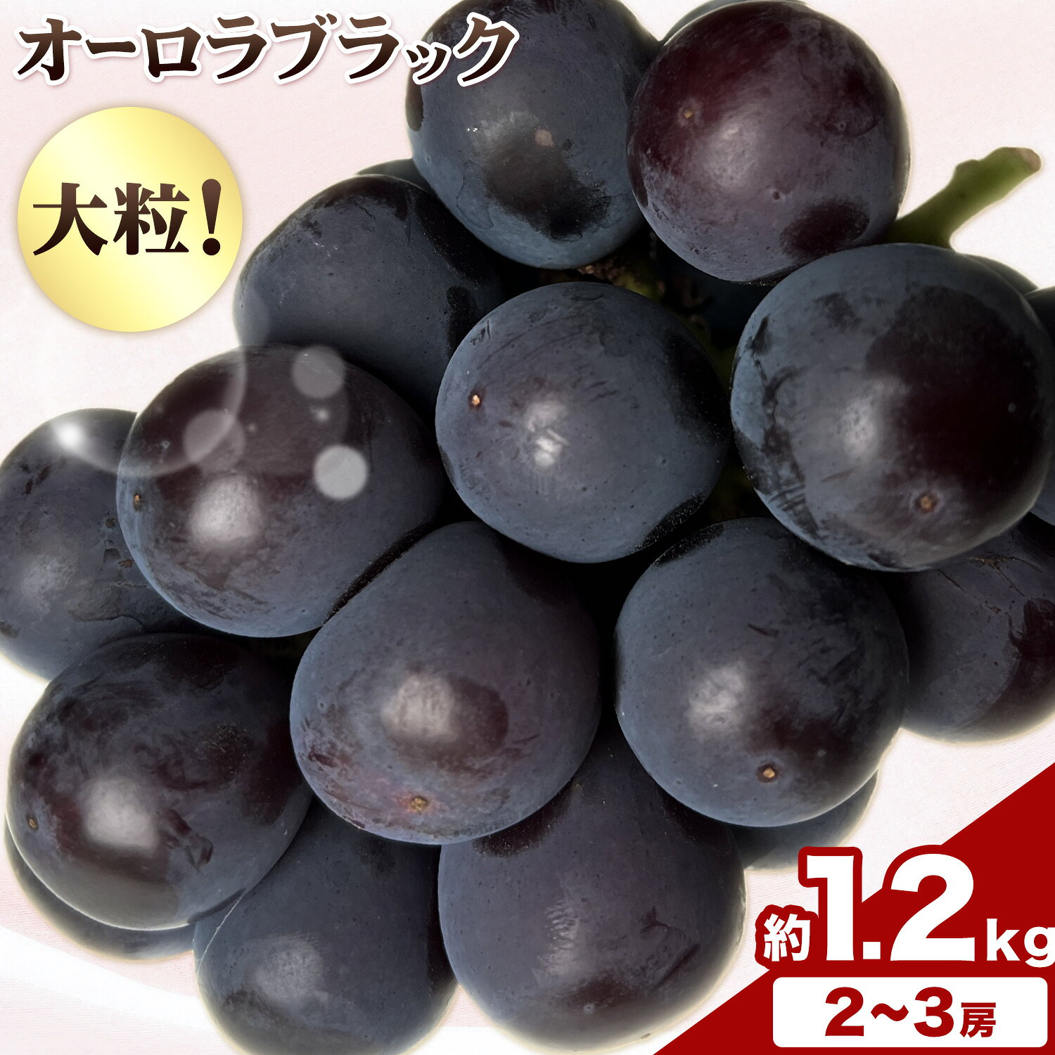 【ふるさと納税】岡山県産 オーロラブラック 2～3房 約 1.2kg 《9月上旬-9月下旬頃に出荷予定(土日祝除く)》 岡山県 笠岡市 巨峰 ぶどう 葡萄 果物 フルーツ【配送不可地域あり】