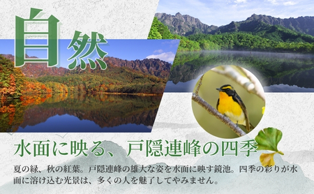 長野市戸隠内宿泊補助券 120000円分
