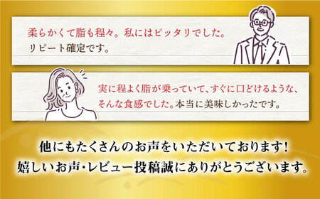 【数量限定】【6回定期便】長崎和牛 ヒレステーキ 約1ｋg（6～8枚）×6回定期便＜大西海ファーム＞ [CEK142]