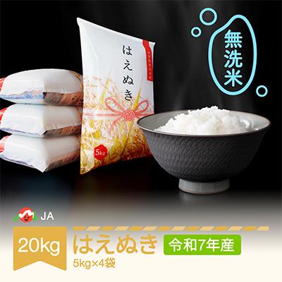 ふるさと納税 村山市 令和7年産はえぬき 無洗米 20kg(5kg×4)