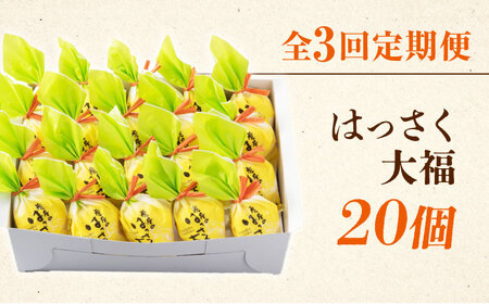 【3回定期便】お菓子 はっさく大福20個入　 お菓子 大福 八朔 柑橘 みかん オレンジ 餅 ギフト お取り寄せ スイーツ フルーツ大福 ご当地 菓子 おかし デザート 食品 人気 おすすめ 広島県福