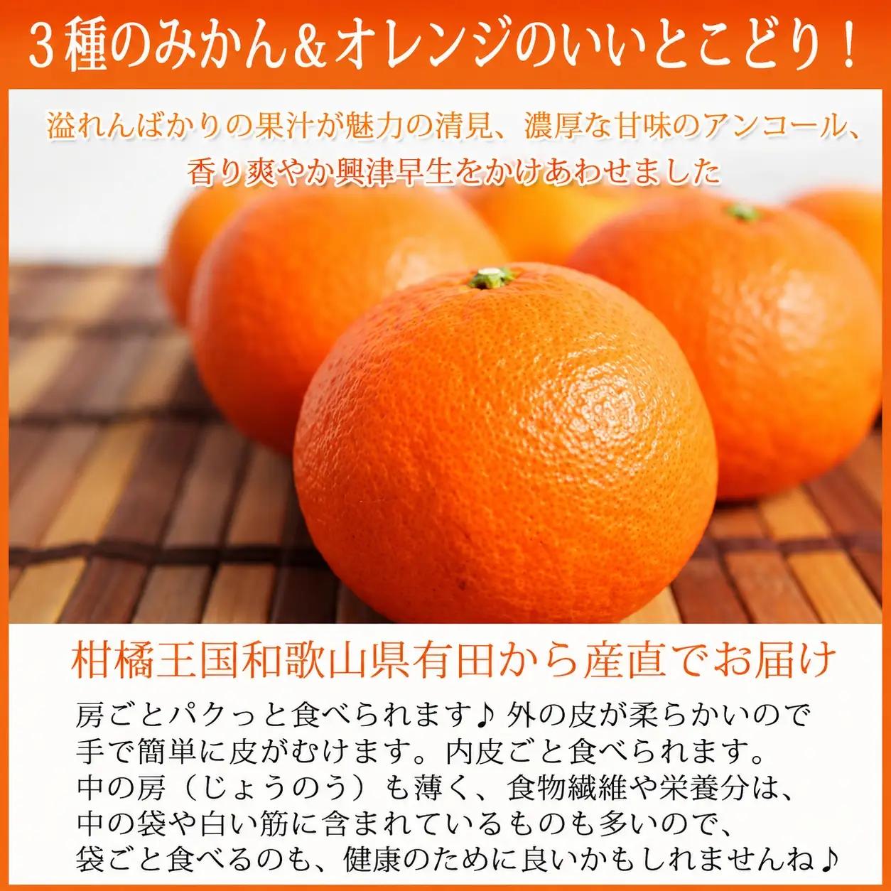 津之輝(つのかがやき)　5kg【予約】※2027年1月下旬頃〜2027年2月上旬頃に順次発送予定(お届け日指定不可) 【uot761】