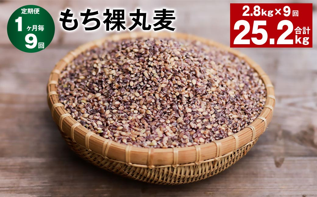 
【1ヶ月毎9回定期便】 もち裸丸麦 計25.2kg（2.8kg✕9回） 麦 もち麦 丸麦 雑穀 大麦
