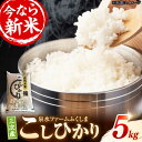 【ふるさと納税】泉水の米 こしひかり 5kg 新米 白米 お米 ご飯 コシヒカリ 三次市/泉水ファームふくしま[APAJ002]