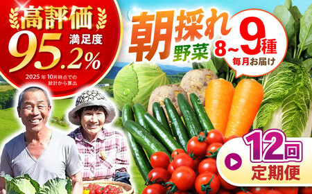 野菜 12回定期便  諫早産野菜の詰め合わせ 8・9品目程度 [AHDI003]