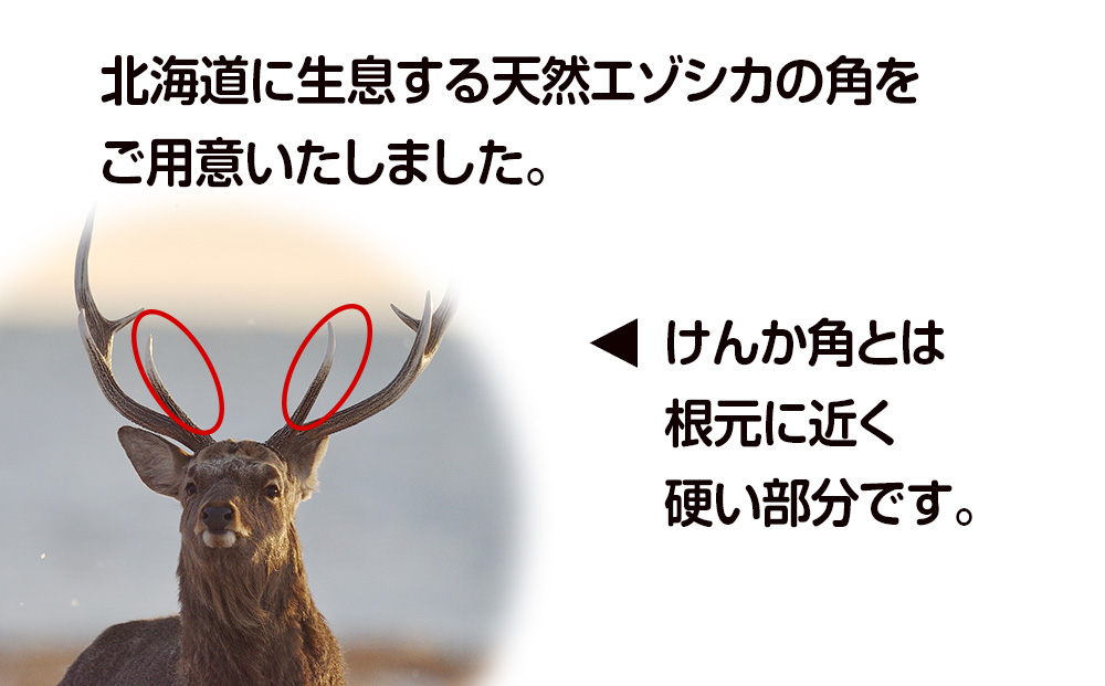 鹿の角 エゾシカ 犬のおもちゃ 『鹿角さん』 大型犬用　けんか角タイプ　１本 CB038_イメージ2
