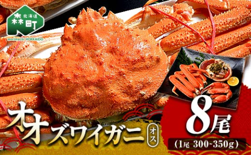 オオズワイガニ オス姿 8尾 300～350g前後×8尾 ＜海鮮問屋　株式会社　瑞宝＞ かに カニ 蟹 ガニ がに 海鮮 森町 北海道 mr1-1371