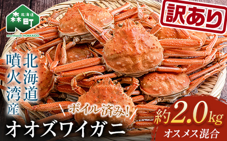  【訳あり】オオズワイガニ（ボイル済） 約2.0kg （オスメスどちらか）＜海鮮問屋　株式会社　瑞宝＞ ズワイガニ かに カニ 蟹 ガニ がに 海鮮 森町 北海道 mr1-1490