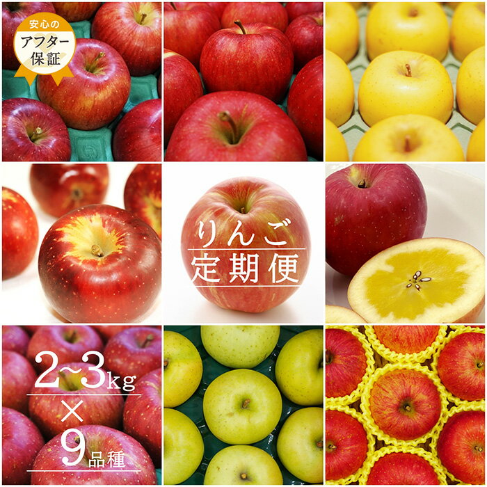 【ふるさと納税】＼アフター保証対象品／ 【2025年9月〜12月発送】【定期便9回】「秀品」りんご2〜3kg×9種_H151(R7)