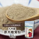 【ふるさと納税】調味料 40g 干ししいたけ 粉末 国産 九州産 原木椎茸 天然 味の素 40g 1袋 パウダー グアニル酸 味噌汁 焼肉 パスタ マヨネーズ ケチャップ ドレッシング かけるだけ 延岡市 お取り寄せ 食品 常温 送料無料