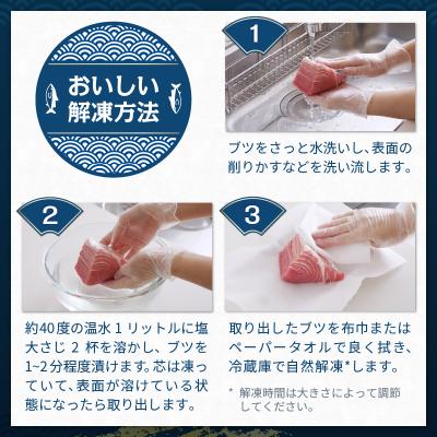 ふるさと納税 焼津市 本マグロ トロ ブツ 1kg(a15-674) |  | 02