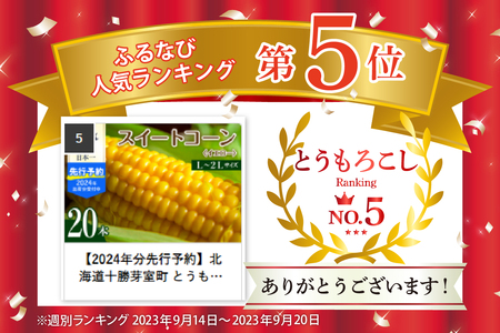 【2024年分先行予約】北海道十勝芽室町 とうもろこし スイートコーン20本 イエロー種 me002-014-24c