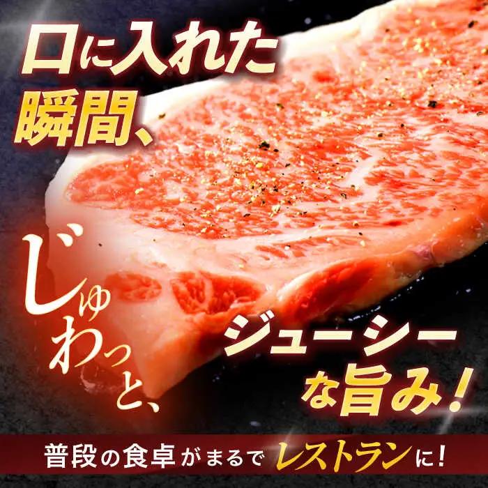 【12回定期便】長崎和牛サーロインステーキ 約400g(200g×2枚)[OCE036]