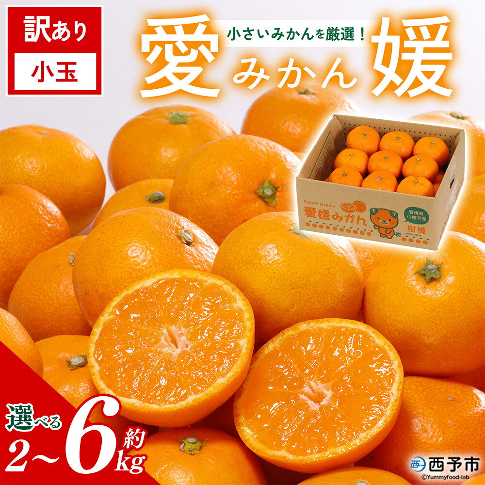 【ふるさと納税】【先行予約】＜訳あり愛媛県産小玉みかん 約2～6kg＞『2026年11月以降順次出荷予定』選べる 甘さ 凝縮 フレッシュ ご家庭用 ご自宅 蜜柑 果肉 果物 柑橘 フルーツオレンジ 国産 濃厚 果汁 産地直送 ミヤモトオレンジガーデン 愛媛県西予市【常温】