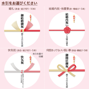 【 日時指定可 】 卵不使用 熨斗 ケーキ 5号 プリントケーキ 冷凍 スイーツ デザート