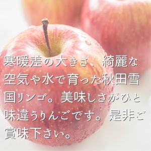 雪中貯蔵 りんご ふじ 贈答用 6玉入り【BARUバイオジャパン吉村(株)】[B2-9905]