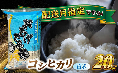 ＼2025年10月発送分／ コシヒカリ 白米 20kg 愛西市/脇野コンバイン 新米 こしひかり ブランド米 銘柄米 お米 精米 [AECP023-2]