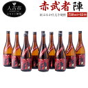 【ふるさと納税】紅はるか仕込芋焼酎『赤武者 陣』 720ml 12本 セット お酒 いも焼酎 熊本県産 国産 送料無料