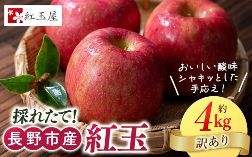
                  紅玉屋 長野市産 紅玉 4kg【2026年9月下旬以降の出荷分】（紅玉屋） |  りんご 林檎  フルーツ 果物 ギフト  人気 おすすめ 送料無料 長野県 長野市 信州 信濃 ふるさと納税
                