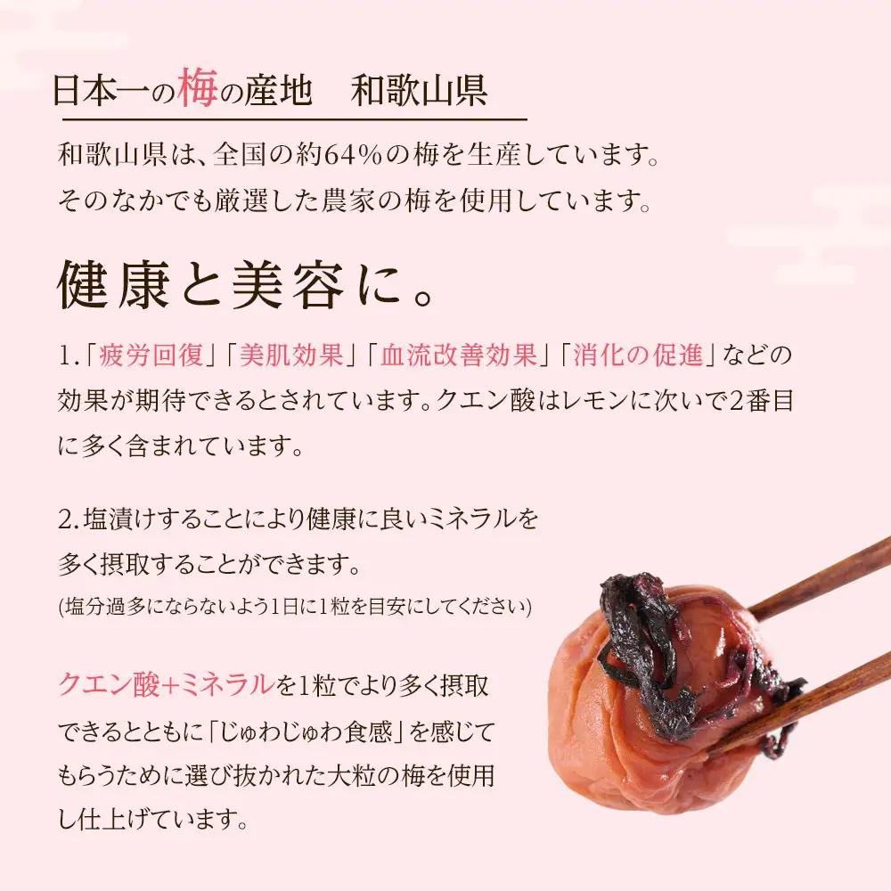訳あり 梅干し 大粒 大玉 つぶれ梅 しそ梅 約500g × 6回 塩分10％ [ 定期便 毎月発送・全6回 ]
