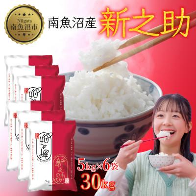 ふるさと納税 南魚沼市 【令和7年産】南魚沼産 新之助 30kg 精米 新潟県 南魚沼市