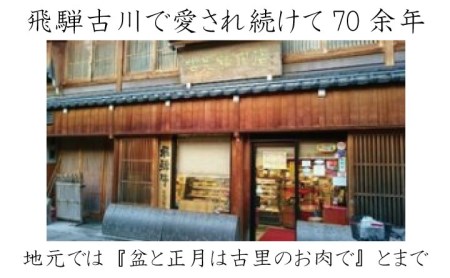 飛騨牛　ヒレステーキ（テート）3枚　シャトーブリアンステーキ3枚　5等級　計6枚を2回　飛騨市推奨特産品　古里精肉店謹製[Q2016]