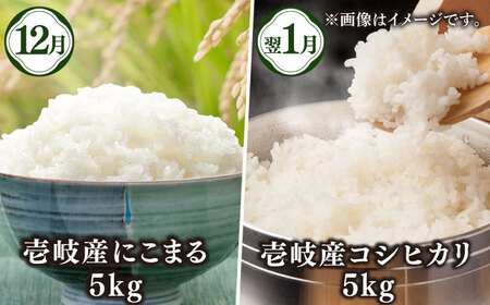 【全6回定期便】壱岐産農産物定期便《壱岐市》【壱岐市農業協同組合】米 コシヒカリ じゃがいも いちご 野菜セット [JBO159]