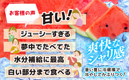 先行予約 坂井市産 大玉スイカ 「羅皇ザスウィート」 1玉入り 7～9kg (大玉) 2026年7月中旬以降順次発送予定 すいか フルーツ [A-16209]