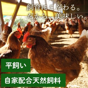 Y172 大江ノ郷セット