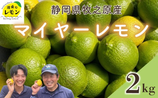 【国産 レモン】牧之原産 波乗りレモン マイヤーレモン 2kg 国産 Lemon 檸檬 柑橘類 柑橘 フルーツ 果物 酸っぱい 果肉 酸味  防腐剤不使用 自宅用 贈答品 レモンスカッシュ レモンパウンドケーキ レモンサワー くだもの 家庭用 静岡県産 農家直送 産地直送 産直 グリーンレモン イエローレモン おすすめ 美味しい まいやーれもん 静岡県 牧之原市