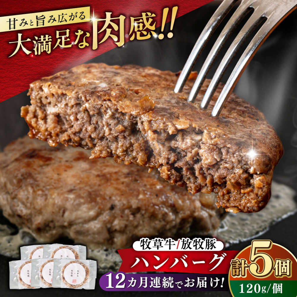【ふるさと納税】【全12回定期便】　【牧草牛×放牧豚】ハンバーグ 5個 《厚真町》【GOODGOOD株式会社】 ハンバーグ 牛肉 豚肉 小分け 冷凍配送 北海道[AXBP029]
