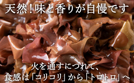 【稚内ブランド認定品】稚内産　天然銀杏草100g×3袋(急速生冷凍)【配送不可地域：離島】【1105455】