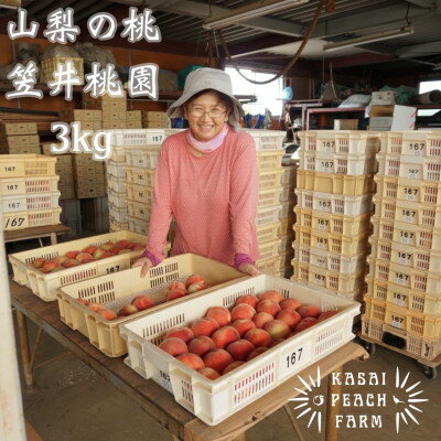 【ふるさと納税】【2025年先行予約】厳選朝採り桃 山梨の笠井桃園の桃 3kg【配送不可地域：離島】【1456517】