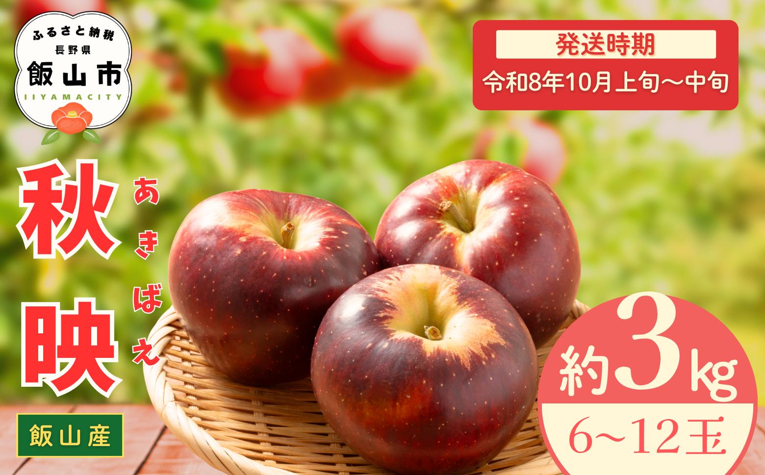 
            【先行予約丨2026年10月上旬より順次発送】秋映【約3kg (6〜12玉)】(At-008)丨長野県 飯山市 おすすめ ランキング おいしい 高評価 大人気 先取り 産地直送 りんご 秋映
          
