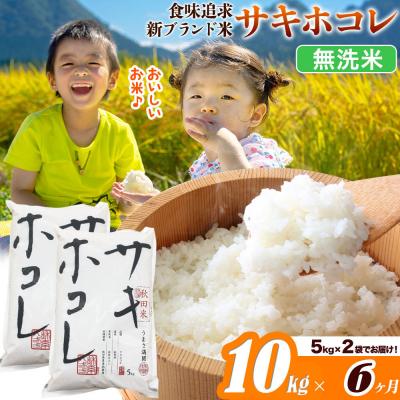 ふるさと納税 大仙市 米《6ヶ月》サキホコレ【無洗米】令和7年産 10kg|22_ssn-051006m