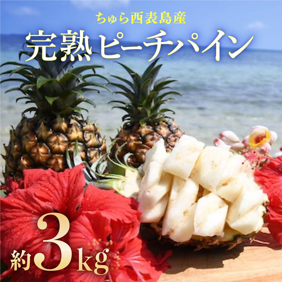 【ふるさと納税】2025年 先行予約 ピーチパイン 約3kg 3〜4玉 ちゅら西表島産!! ゆたか農園 完熟 パイン 果物 フルーツ パイナップル 【 果物詰合せ フルーツ 】 お届け：2025年4月25日〜7月10日