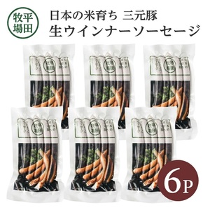 SA1339　【平田牧場】 三元豚 生ウインナーソーセージ　140g×6パック