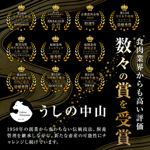 【訳あり・数量限定】うしの中山黒毛和牛切り落とし焼肉(計1.1kg・550g×2P) b5-177