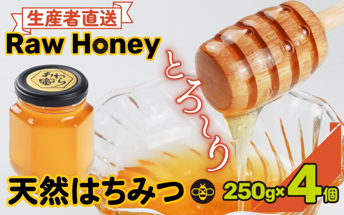 
            【天然はちみつ】 raw honey あわら蜜 4個 / 非加熱 生産者直送 蜂蜜 ミツバチ 純はちみつ ローヤルゼリー 生はちみつ みつばち
          