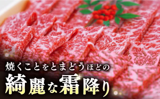 【希少部位】 長崎和牛 イチボ 焼肉 約500g 訳あり ＜スーパーウエスト＞ [CAG285] 長崎 西海 和牛 牛肉 国産 焼肉 イチボ 希少部位 BBQ 贈答 ギフト
