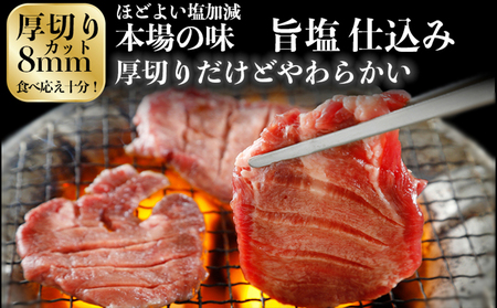 牛タン 厚切り 塩牛タン 600g(300g×2) 大崎市 古川ミート
