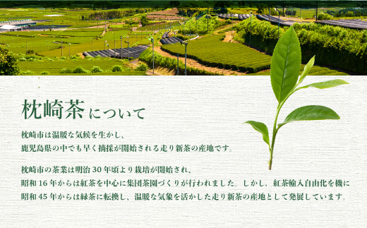水出し緑茶ティーバッグ 90g(5g×18P) 8袋【合計144P】 A8−70【1167081】