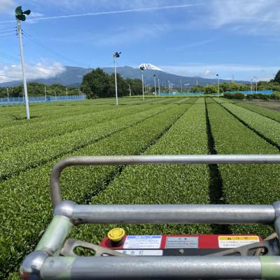 ふるさと納税 沼津市 沼津紅茶(30g)×3パック |  | 03
