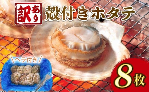 訳あり 三陸産 殻付きホタテ 8枚 冷凍 ほたて BBQ バーベキュー カンカン焼き バター焼き ボイル 蒸し 簡単 海鮮 岩手県 大船渡 三陸